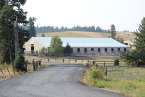 Horse Stable With 10 Stalls With Outdoor Runs